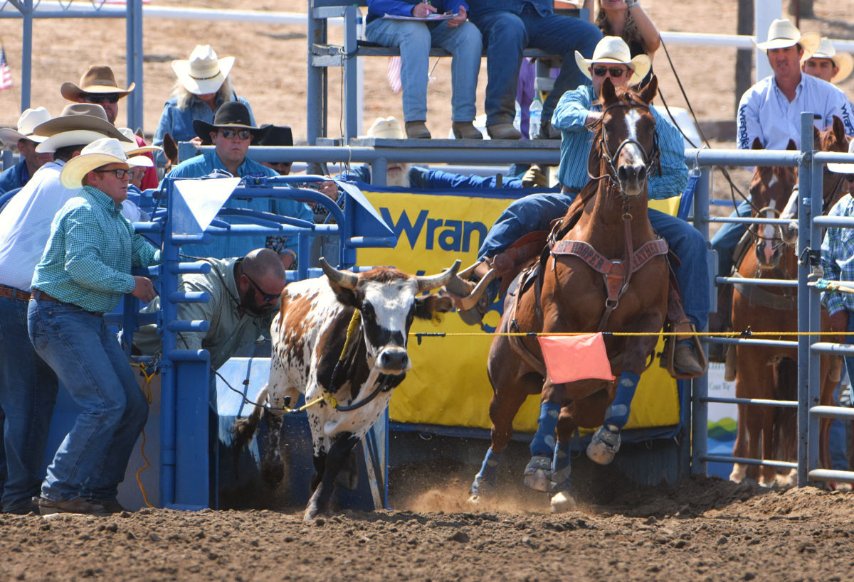 090521-smt-news-elks-rodeo-003.jpg